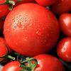 Секреты выращивания томатов